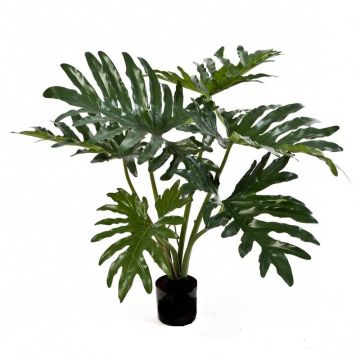 Arbusto de Phlodendron artificial LAINA, verde, 60cm