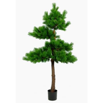 Árbol pino artificial SIXTEN, tronco real, verde, 215cm
