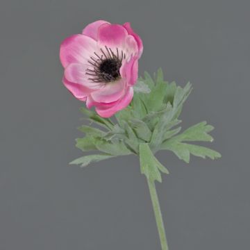 Anémona flor artificial FILIZ, rosa, 30cm, Ø7cm
