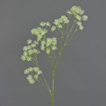 Rama de aralia artificial YARED, con flor, crema, 85cm Rama de aralia artificial YARED, con flor, crema, 85cm