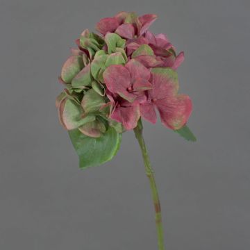 Mini hortensia artificial CHIDORI, rojo-verde, 30cm, Ø13cm