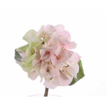 Mini hortensia artificial CHIDORI, crema-rosa, 30cm, Ø13cm