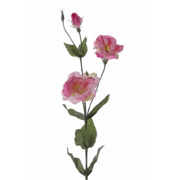 Rama de lisianthus artificial NOWA, rosa, 80cm, Ø7cm
