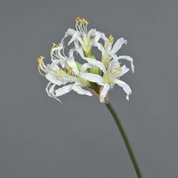 Amaryllis artificial MONJA, blanco, 70cm, Ø12cm