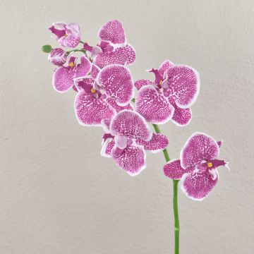 Orquídea Phalaenopsis artificial CEDRA, violeta-blanco, 75cm, Ø6-10cm