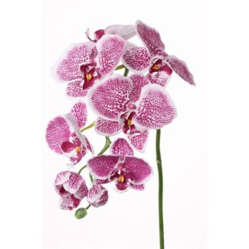 Orquídea Phalaenopsis artificial CEDRA, violeta-blanco, 75cm, Ø6-10cm
