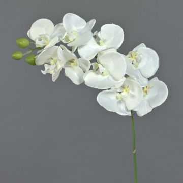 Orquídea Phalaenopsis artificial GALINA, crema, 45cm, Ø7-8cm