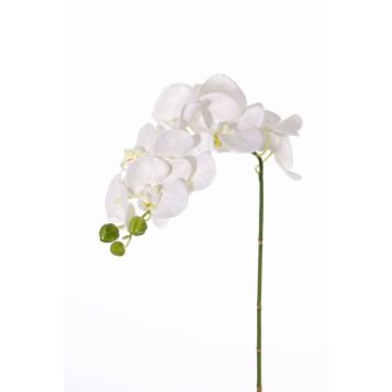 Orquídea Phalaenopsis artificial GALINA, crema, 45cm, Ø7-8cm