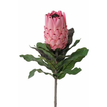 Protea artificial NELLI, rosa, 75cm, Ø8cm