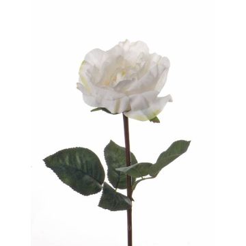 Mini rama de rosa de imitación JESSY, crema, 35cm, Ø11cm