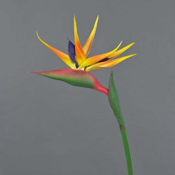 Strelitzia artificial LATIFA, naranja-violeta, 80cm, 17x20cm