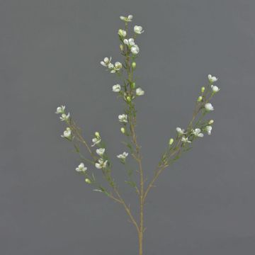 Rama de flor de cera artificial NIANG, crema, 80cm, Ø2-3cm