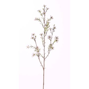 Rama de flor de cera artificial NIANG, crema, 80cm, Ø2-3cm