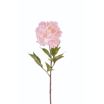 Peonía sintética MILANA, rosa, 80cm, Ø18cm