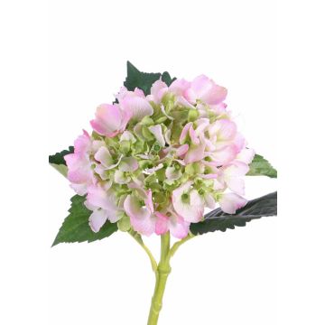 Hortensia artificial NICKY, rosa-verde, 50cm, Ø15cm