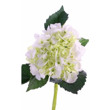 Hortensia artificial NICKY, crema-blanco, 50cm, Ø15cm