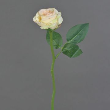 Mini rama de rosa sintética GABI, crema-rosa, 25cm, Ø5cm