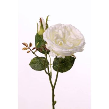 Mini rama de rosa artificial JUDY, crema, 35cm, Ø8cm
