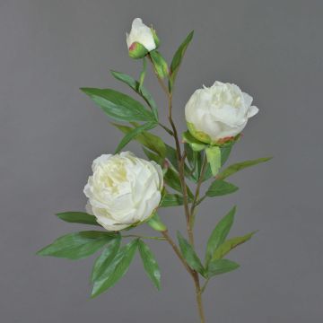 Rama de peonía artificial MANJA, blanco, 70cm, Ø8-10cm