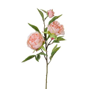 Rama de peonía artificial MANJA, rosa, 70cm, Ø8-10cm