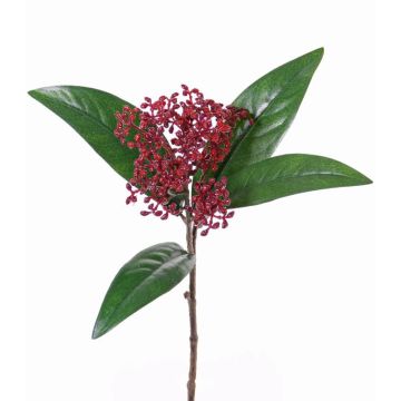 Rama de Skimmia japonica sintética EBONY, con flor, rojo, 35cm