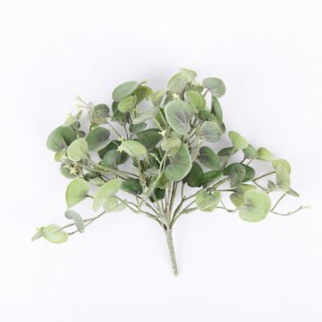 Arbusto oreja de ratón plateado falso RONAS, 85 hojas, verde-gris, 25cm