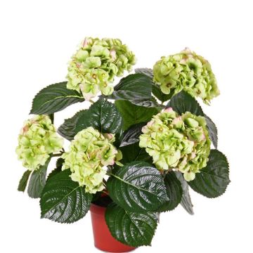 Hortensia sintética TEMARI, verde, 40cm, Ø10-12cm