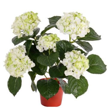Hortensia sintética TEMARI, crema-verde, 40cm, Ø10-12cm
