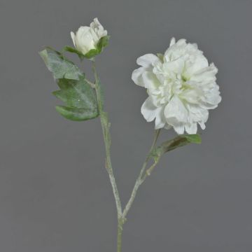 Peonía artificial MALINE, nevado, crema, 60cm, Ø12cm