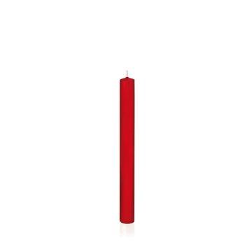 Vela de candelabro TARALEA, rojo, 25cm, Ø2,3cm, 14h - Made in Germany