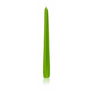 Vela para candelabro PALINA, verde, 25cm, Ø2,5cm, 8h - Made in Germany