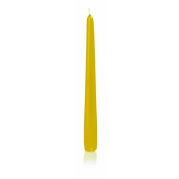 Vela para candelabro PALINA, amarilla, 25cm, Ø2,5cm, 8h - Made in Germany