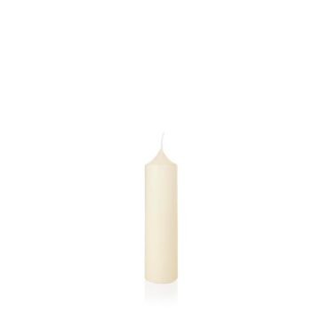 Vela para farol FRANZISKA, marfil, 30cm, Ø8cm, 137h - Made in Germany Vela para farol FRANZISKA, marfil, 30cm, Ø8cm, 137h - Made in Germany