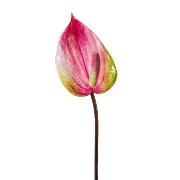 Flor artificial flamingo GRUNT, rosa, 75 cm