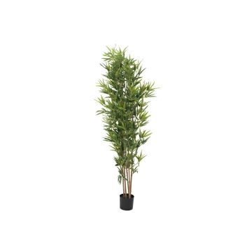 Bambú artificial ELISSO, troncos naturales, verde, 180cm