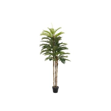 Palma Kentia artificial JORGANA, 150cm