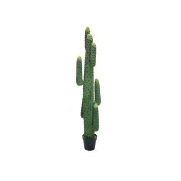 Cactus columnar de plástico DARION, verde, 170cm