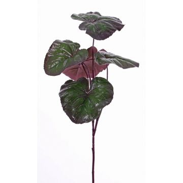 Ligularia przewalskii de plástico NIEVES, verde-violeta, 85cm