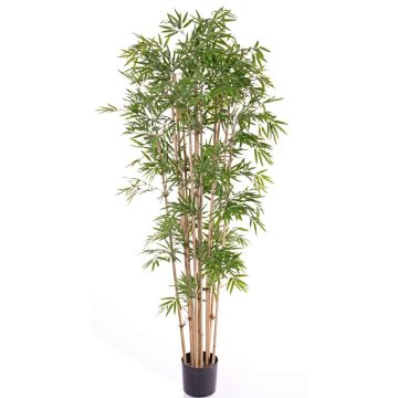 Bambú artificial REIKA, troncos naturales, 180cm