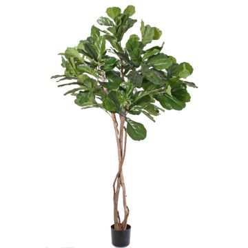 Ficus Lyrata artificial HARVEY, tallos naturales, verde, 190cm