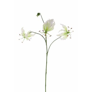 Gloriosa artificial TIANA, blanco-verde, 80cm, Ø8-15cm