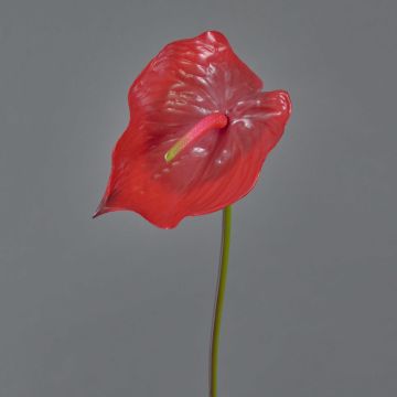 Anthurium de imitación MOIRA, rojo, 75cm, 13x20cm