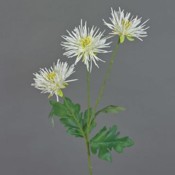 Crisantemo sintético SOLVIE, crema, 70cm, Ø10cm