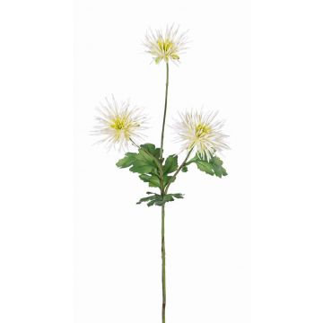 Crisantemo sintético SOLVIE, crema, 70cm, Ø10cm