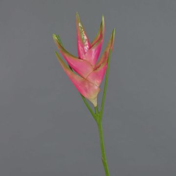 Flor heliconia artificial TOMKE, rosa-verde, 80cm, Ø30cm Flor heliconia artificial TOMKE, rosa-verde, 80cm, Ø30cm