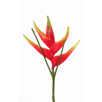 Flor heliconia artificial TOMKE, rojo-verde, 80cm, Ø30cm