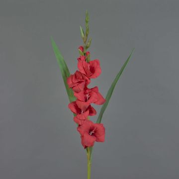 Gladiolo artificial ELEA, rojo, 85cm, Ø3-10cm