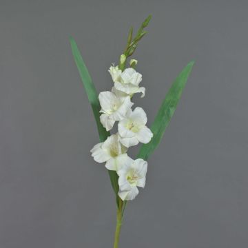 Gladiolo artificial ELEA, blanco, 85cm, Ø3-10cm