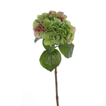 Hortensia de plástico CHIDORI, verde-rosa, 60cm, Ø20cm