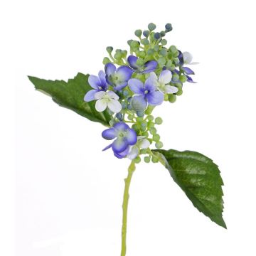 Hortensias sintética CHABY, azul, 30cm, Ø9cm